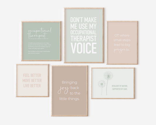 Occupational Therapy Set 6B - Earth Tones